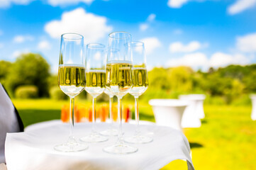 glasses of sparkling wine on a tray, set against a sunny outdoor backdrop