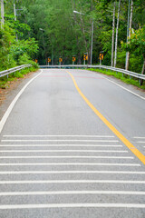 Small curve road through the tropical forest in sunlight