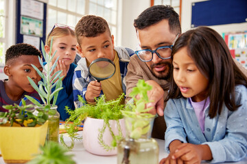 Teacher explaining the life cycle of plants to elementary class