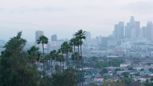 Stunning LA skyline panorama from Ela Park. Cityscape with palm trees and hazy sky. Perfect for travel, city life, and California vibes. 4K footage.