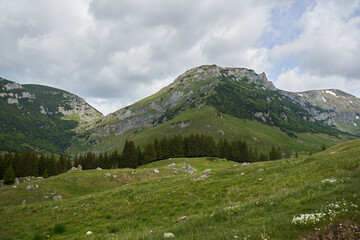 Mountains in the summer