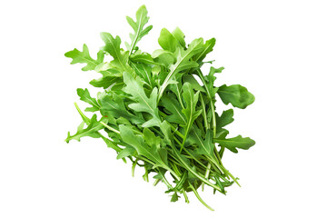 Obraz premium Bunch of fresh green arugula leaves isolated on a white background.