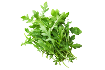 Bunch of fresh green arugula leaves isolated on a white background.