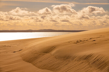 Beautiful dunesscenery of the Slowinski National Park by the Baltic Sea, Leba. Poland