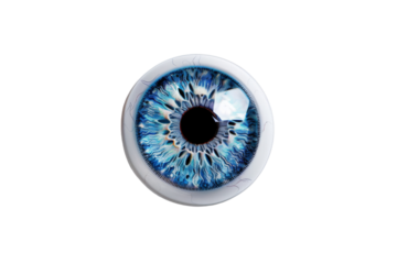 Pair of Contact Lenses in Case Isolated on Transparent Background