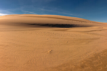 Beautiful dunesscenery of the Slowinski National Park by the Baltic Sea, Leba. Poland