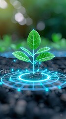 plant sprouting from the ground with glowing blue connection nodes around it