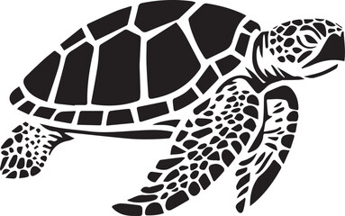 turtle illustration
