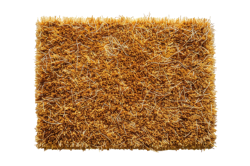 Non-Slip Floor Mat for Home or Office Isolated on Transparent Background