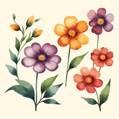Colorful Watercolor Floral Illustration Set