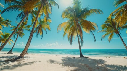 Fototapeta premium Palm Trees on a Tropical Beach.
