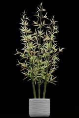 Realistic 3D Render of Bamboo Plant