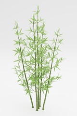 Realistic 3D Render of Bamboo Plant