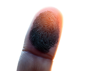 Man Interacting With Fingerprint on Touch Screen