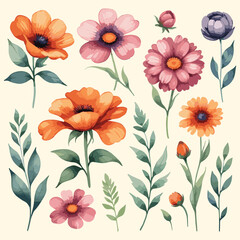 Vintage Floral Set Hand Painted Watercolor Illustration