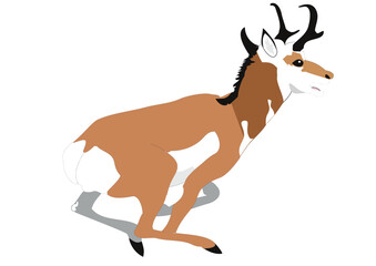 Vector Drawing of Deer