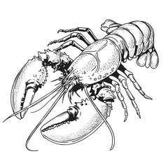 Lobster ink sketch style, engraving imitation. Hand drawn lobster or cancer for seafood restaurant menu, flyer, poster, farm. Vector illustration isolated on white background. Monochrome