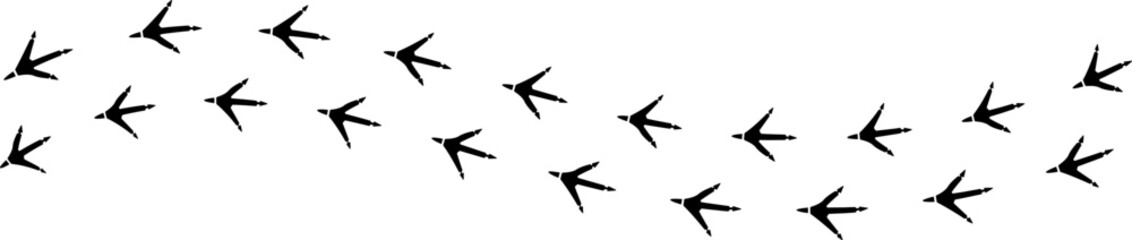 Paw vector foot trail print. Pattern animal tracks isolated on white background. Black silhouette of a paw print, isolated vector icon Illustration.