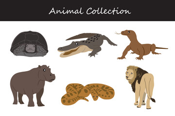Fototapeta premium Animals collection. Flat style vector illustration.