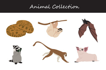 Fototapeta premium Animals collection. Flat style vector illustration.