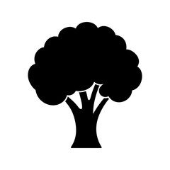 Broccoli icon. Black silhouette of a broccoli. Broccoli symbol. Vector illustration.