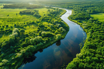 Winding river flowing through green meadows and forests on sunny summer day