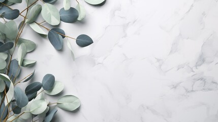 Eucalyptus branches on soft gray backdrop.