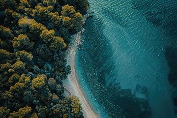 Nature Drone. Aerial View of Blue Ocean and Forested Coastline