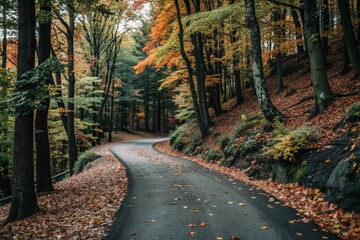 Naklejka premium Scenic Autumn Forest Trail with Vibrant Foliage