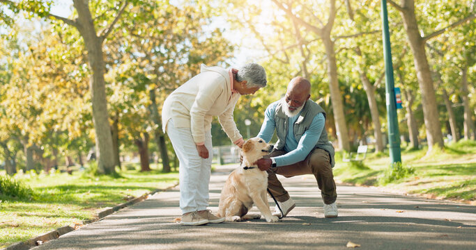 Love, senior couple and pet outdoor on walk together for group exercise, health and wellness in park. Play, senior man and woman in nature with labrador animal for morning adventure in retirement