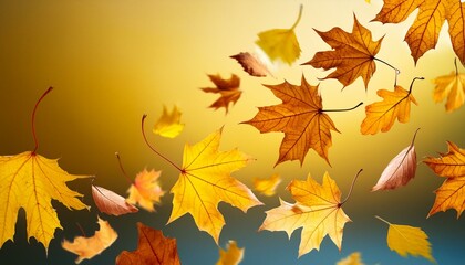 Fototapeta premium Falling colorful leaves close up on a yellow background