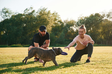 Active time spending, with rubber toy. Man and woman are with dog on the field