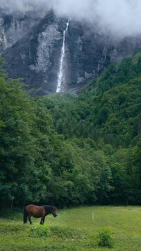 Sixt fer &agrave; Cheval, cascade et montagne (format verticale)