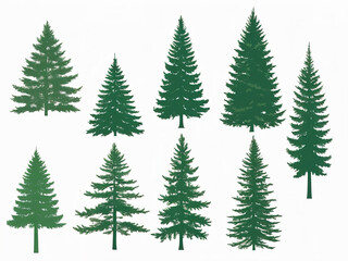 Set of  green pine trees. Vector illustration on a white background.