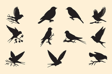Set of black bird's silhouettes. Vector art illustration.