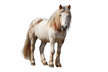 Obraz premium I Love Horses (JPG 300Dpi 10800x7200)