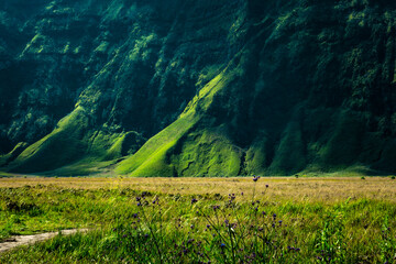 Grass fields and cliffs