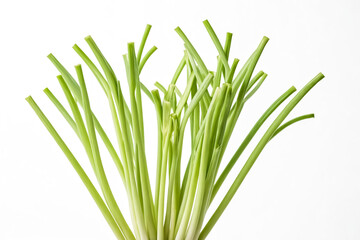 Fototapeta premium Green Onion Stalks on White Background