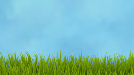 green grass and blue sky