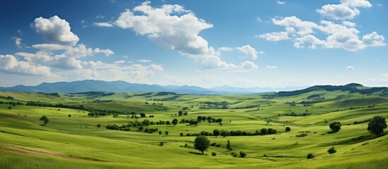 Rural view during spring cloudy blue sky