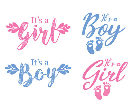 It's a Boy, It's a Girll vector cute illustration for a baby gender annoucement set 