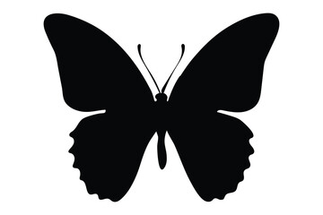 Butterfly Drawing Design Vector Illustration Clipart Eps