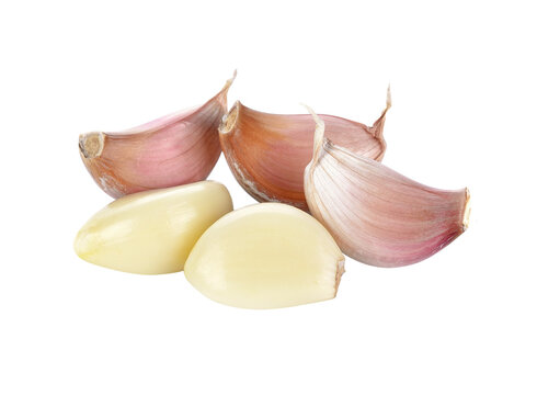 Fresh garlic transparent png