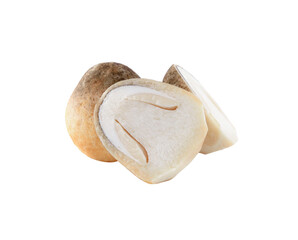 mushroom transparent png