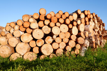 In the courtyard of the house, on the grass against the background of the blue sky, there is a woodpile made of round logs.Harvesting firewood for the winter for kindling stoves and fireplaces.