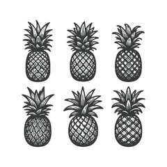Fototapeta premium pineapple comosus fruitful isolated on white backdrop. Dark ink hand drawn picture in retro art print style. Vector pineapple fruit silhouettes isolated on white