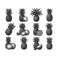  pineapple comosus fruitful isolated on white backdrop. Dark ink hand drawn picture in retro art print style. Vector pineapple fruit silhouettes isolated on white