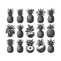  pineapple comosus fruitful isolated on white backdrop. Dark ink hand drawn picture in retro art print style. Vector pineapple fruit silhouettes isolated on white