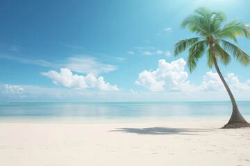 Obraz premium Palm Tree tree outdoors horizon.