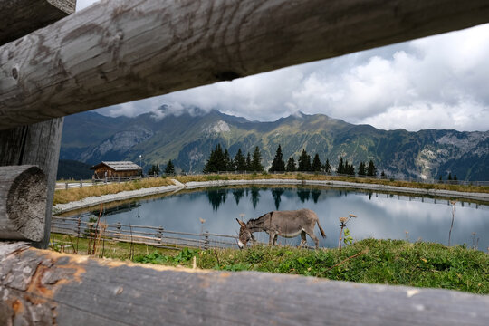 Trentino Alto Adige, a marvel to be discovered